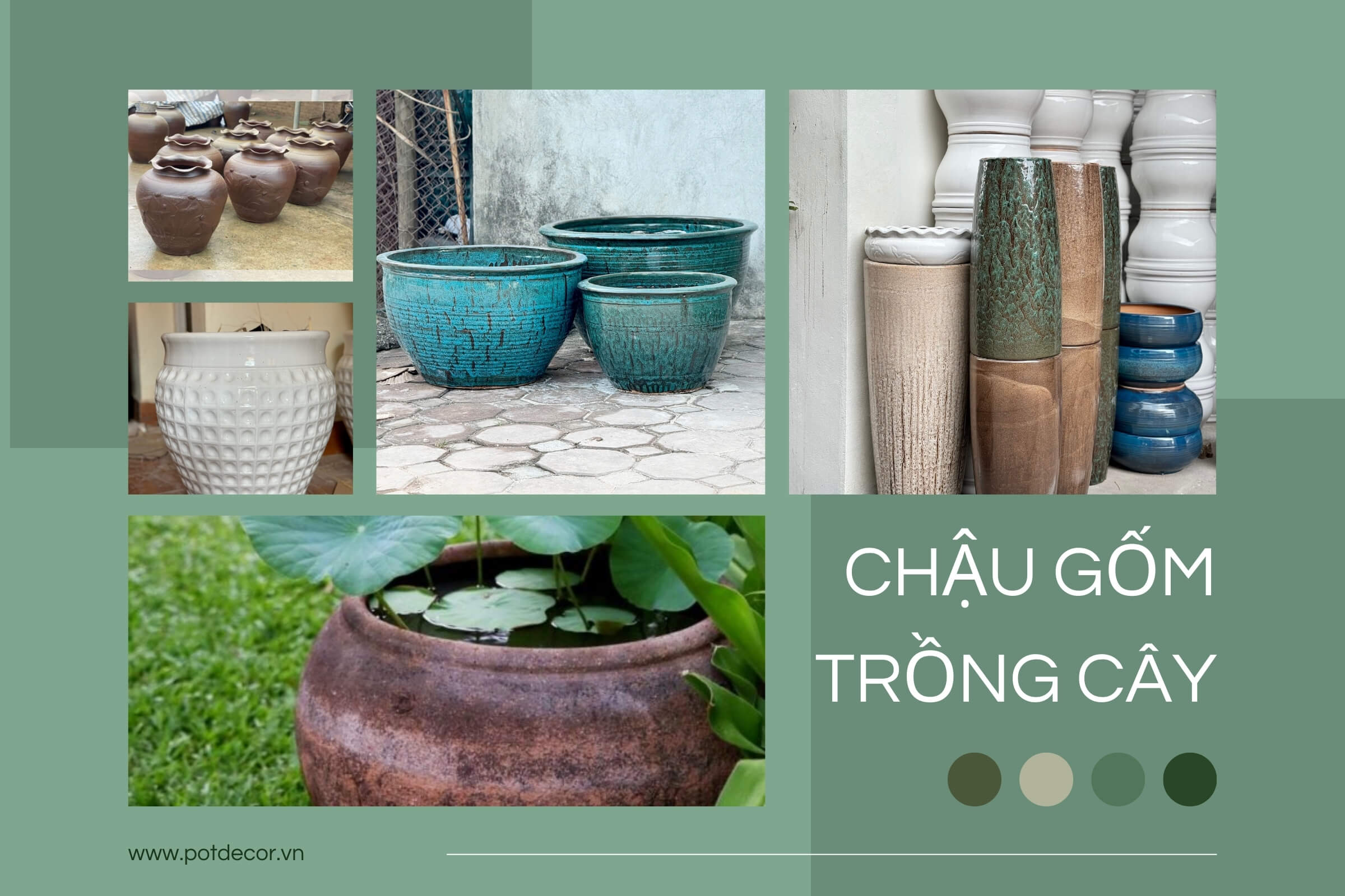 chau-gom-trong-cay