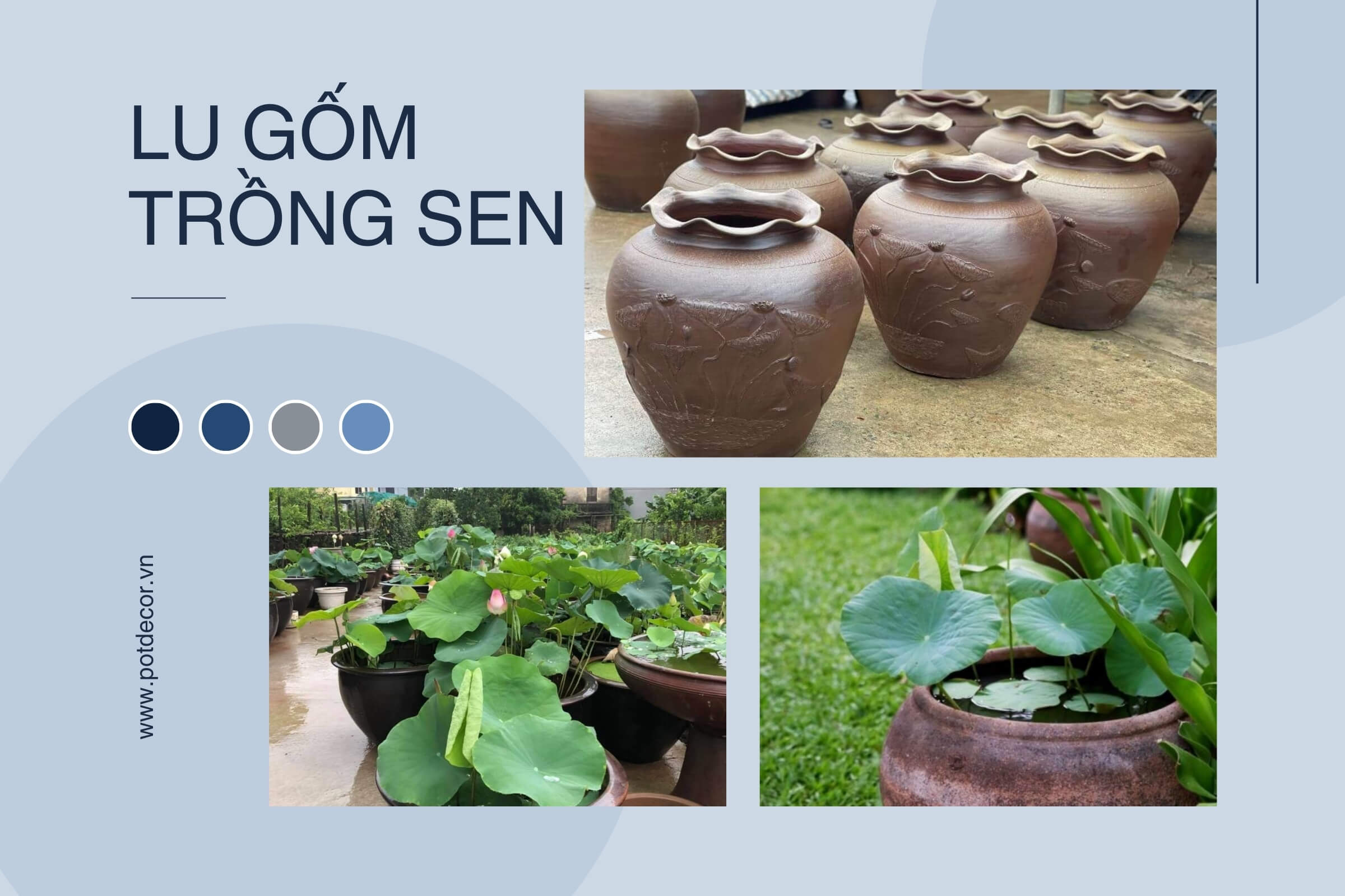 lu-trong-sen