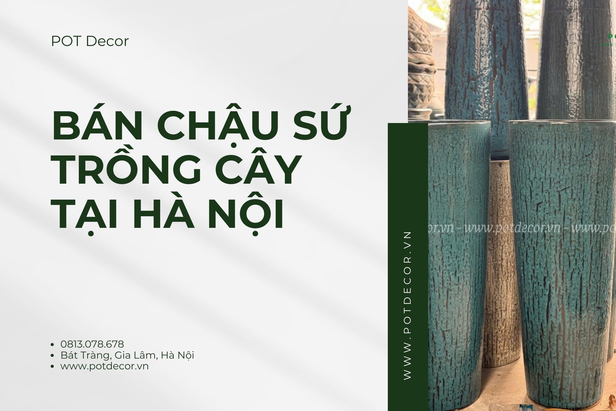 Bán chậu sứ trồng cây tại Hà Nội