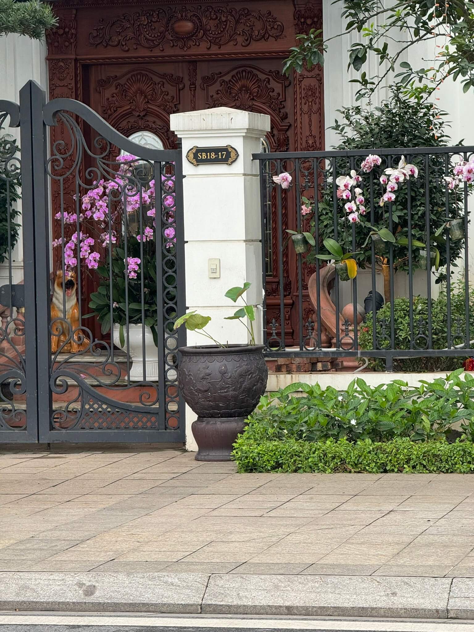 Chậu trồng sen cảnh 1